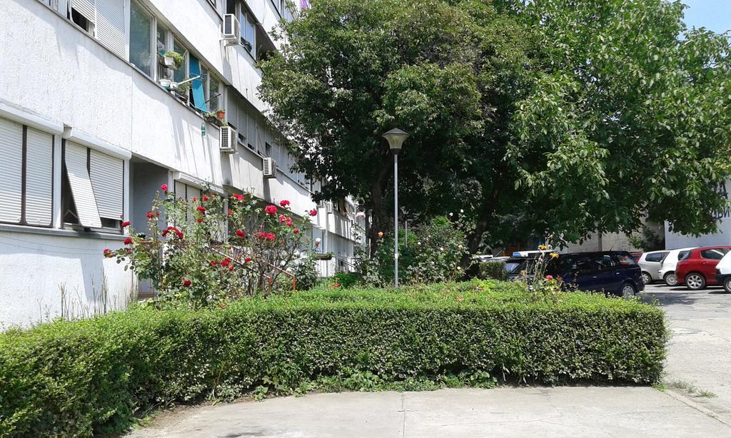 Apartment Daca Stan Belgrád Kültér fotó